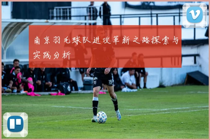 南京羽毛球队进攻革新之路探索与实践分析