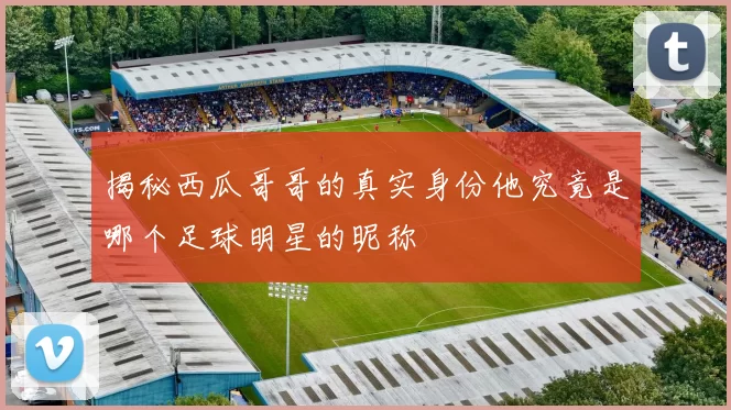 揭秘西瓜哥哥的真实身份他究竟是哪个足球明星的昵称
