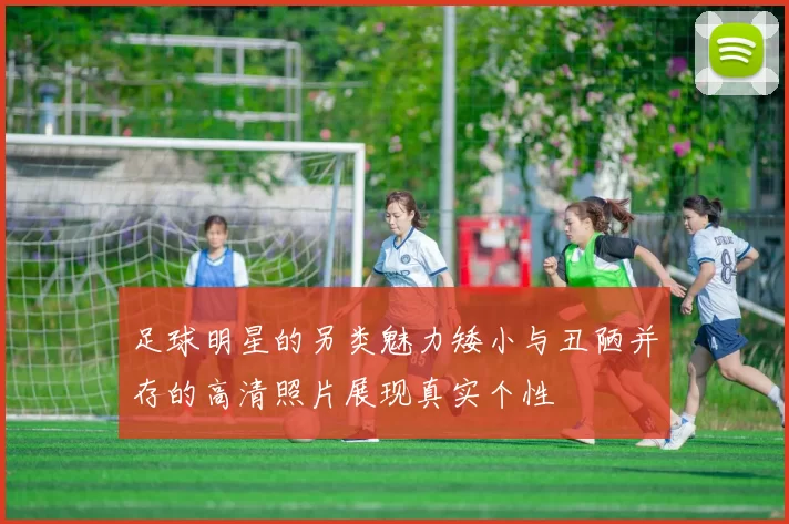足球明星的另类魅力矮小与丑陋并存的高清照片展现真实个性