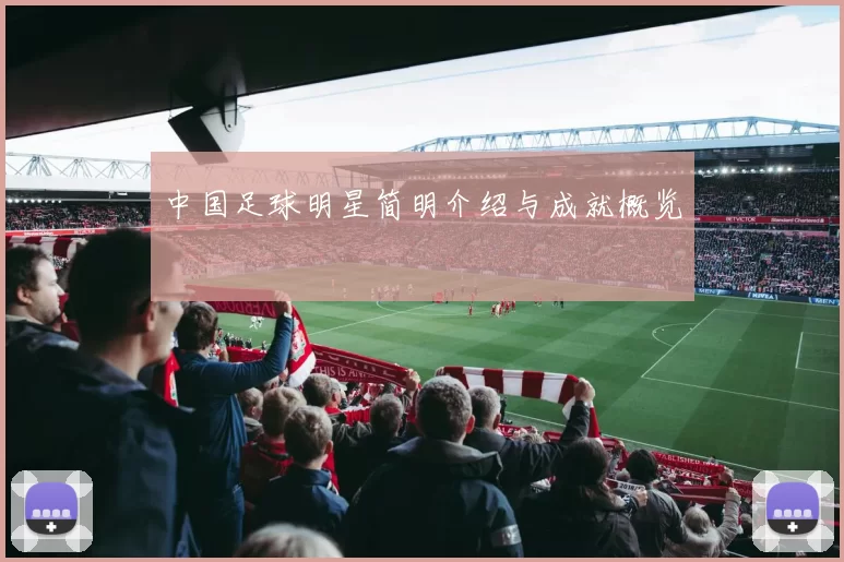 中国足球明星简明介绍与成就概览