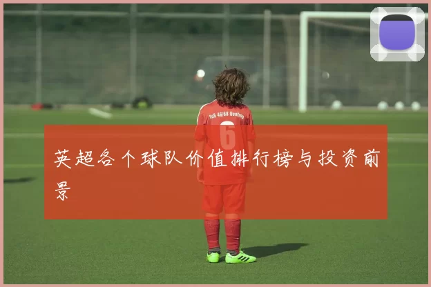 英超各个球队价值排行榜与投资前景