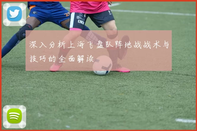 深入分析上海飞盘队阵地战战术与技巧的全面解读