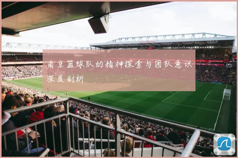 南京篮球队的精神探索与团队意识深度剖析