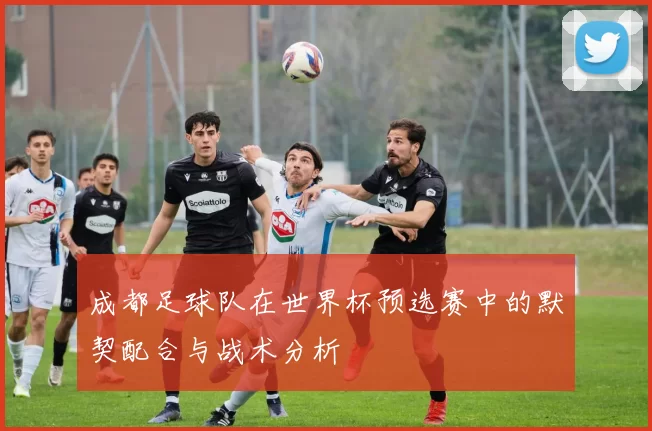 成都足球队在世界杯预选赛中的默契配合与战术分析