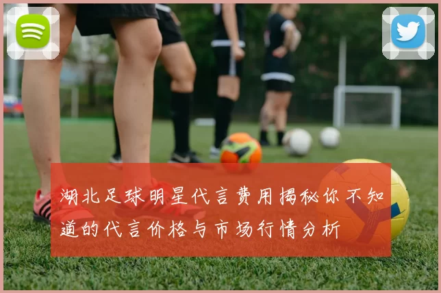 湖北足球明星代言费用揭秘你不知道的代言价格与市场行情分析
