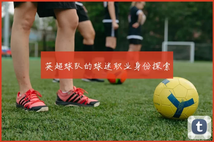 英超球队的球迷职业身份探索