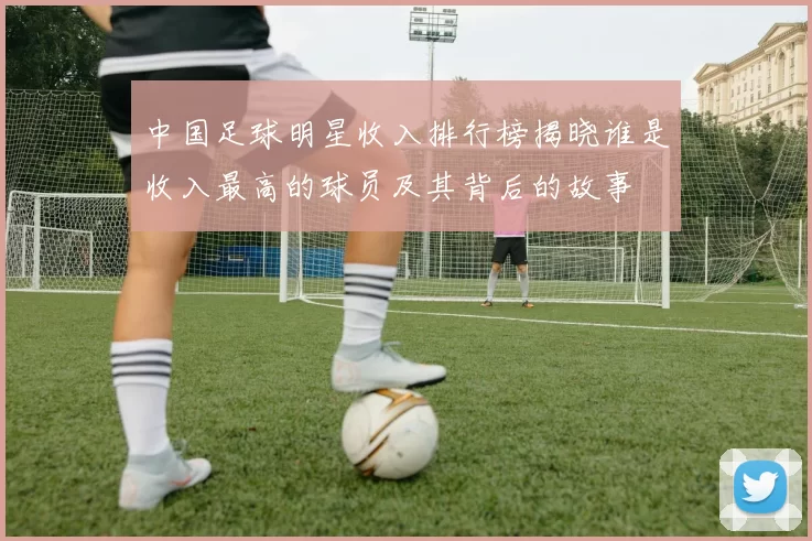中国足球明星收入排行榜揭晓谁是收入最高的球员及其背后的故事