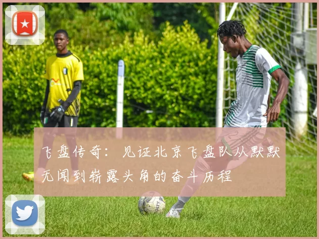 飞盘传奇：见证北京飞盘队从默默无闻到崭露头角的奋斗历程