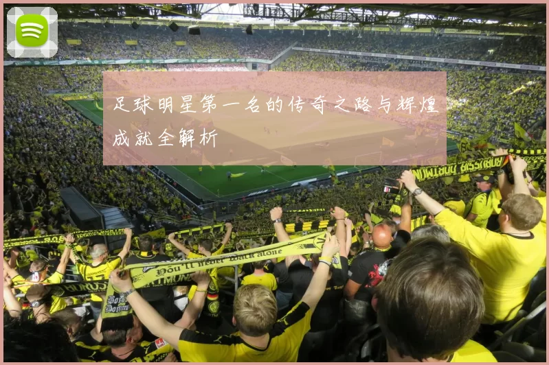 足球明星第一名的传奇之路与辉煌成就全解析
