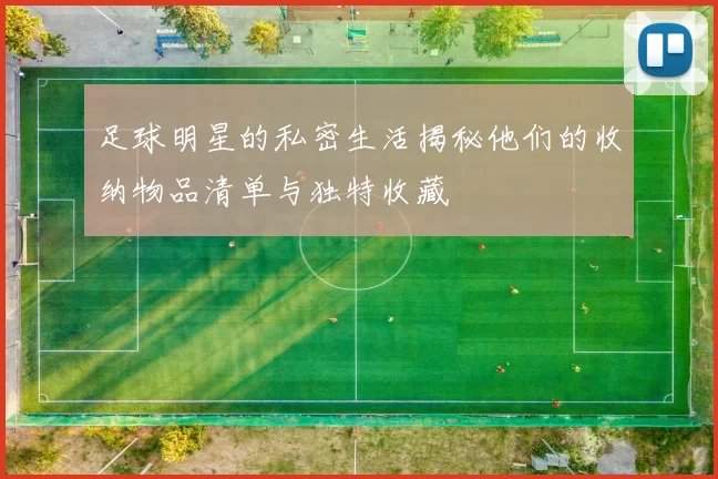 足球明星的私密生活揭秘他们的收纳物品清单与独特收藏