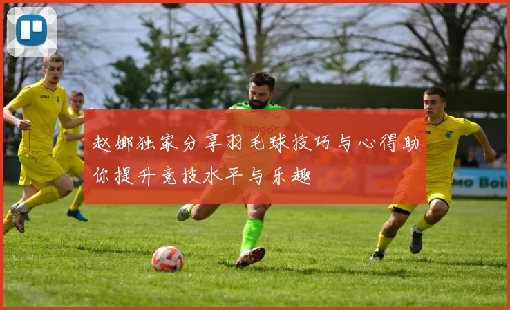 赵娜独家分享羽毛球技巧与心得助你提升竞技水平与乐趣