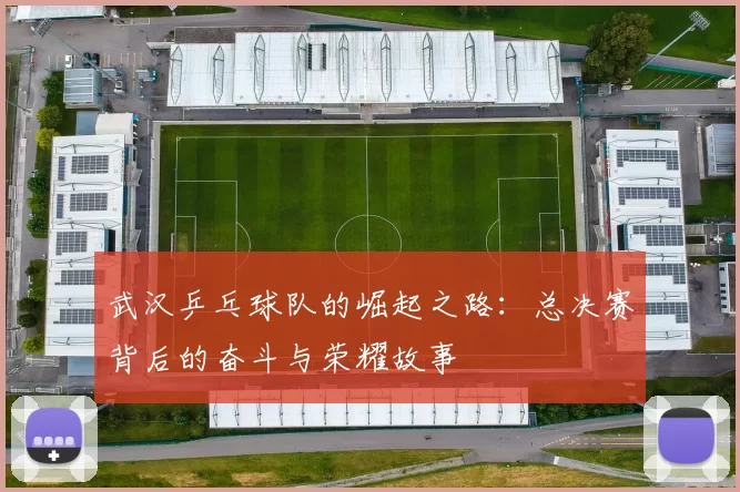武汉乒乓球队的崛起之路：总决赛背后的奋斗与荣耀故事