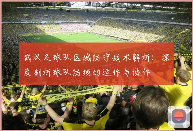武汉足球队区域防守战术解析：深度剖析球队防线的运作与协作