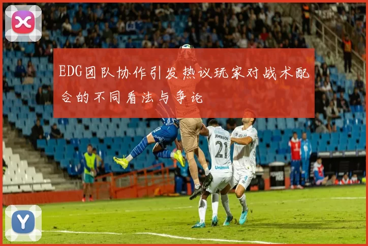 EDG团队协作引发热议玩家对战术配合的不同看法与争论