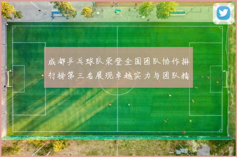 成都乒乓球队荣登全国团队协作排行榜第三名展现卓越实力与团队精神