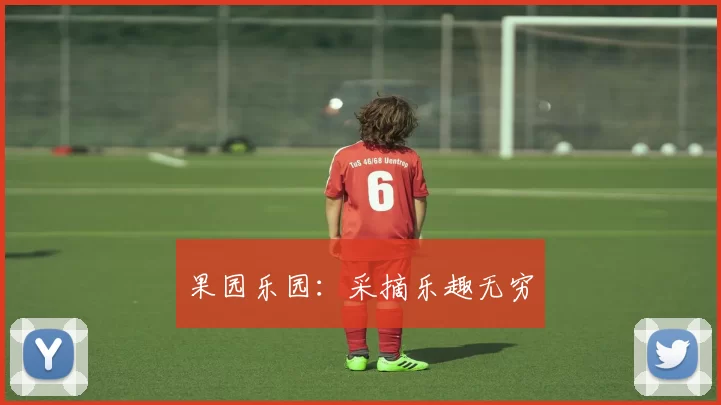 果园乐园：采摘乐趣无穷