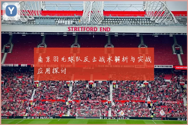 南京羽毛球队反击战术解析与实战应用探讨