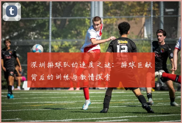 深圳排球队的速度之谜：排球巨献背后的训练与激情探索