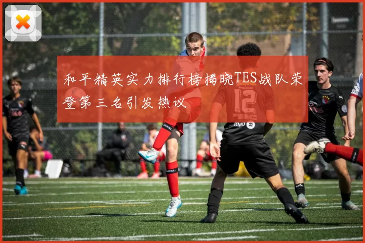 和平精英实力排行榜揭晓TES战队荣登第三名引发热议