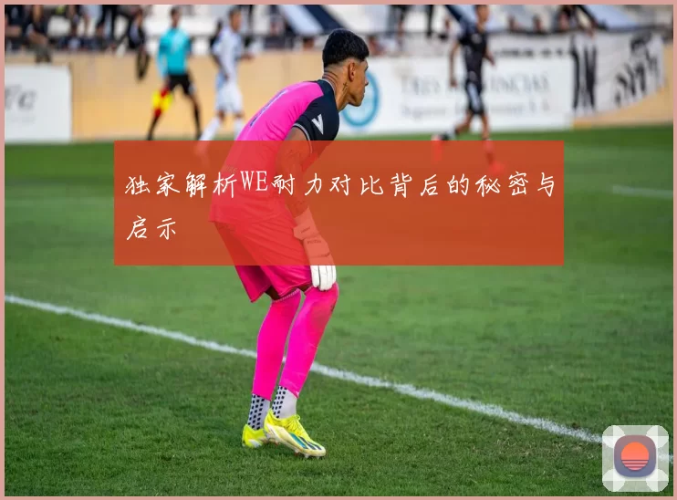 独家解析WE耐力对比背后的秘密与启示