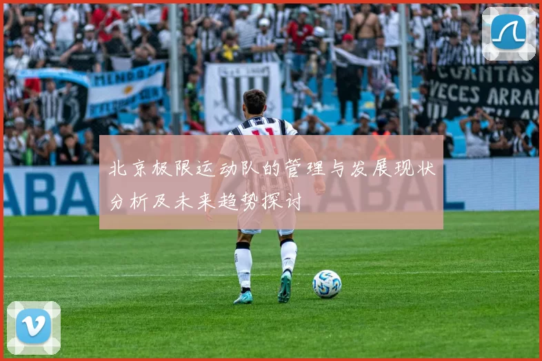 北京极限运动队的管理与发展现状分析及未来趋势探讨