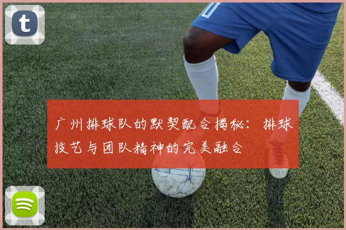 广州排球队的默契配合揭秘：排球技艺与团队精神的完美融合