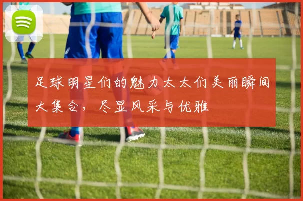足球明星们的魅力太太们美丽瞬间大集合，尽显风采与优雅