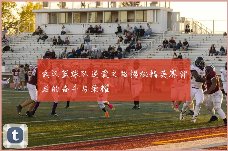 武汉篮球队逆袭之路揭秘精英赛背后的奋斗与荣耀