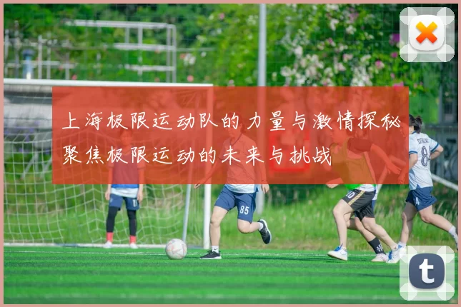 上海极限运动队的力量与激情探秘聚焦极限运动的未来与挑战