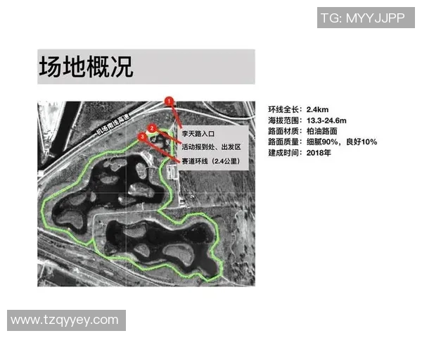 深圳滑板队在城市马拉松中的比赛经验与表现分析