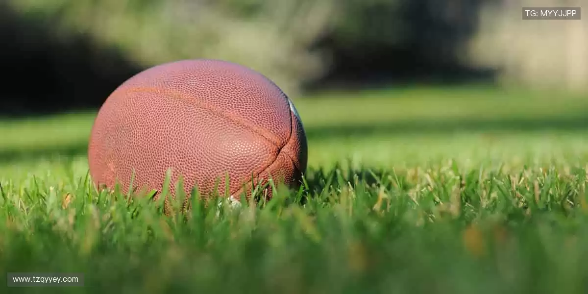 👟 专业级装备,助你突破身体极限!✨